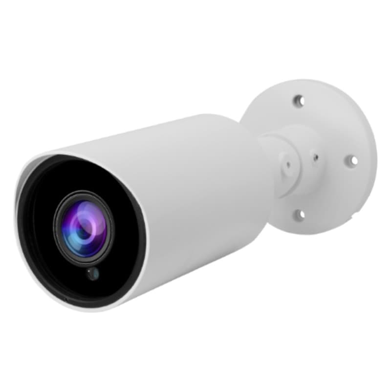 Security Cameras (CCTV)